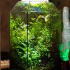 Terrarium đa giác kích thước 20x20x30