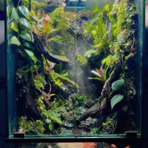 Paludarium