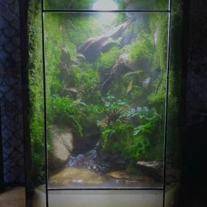 Ảnh Palu Thiền Mộc 2